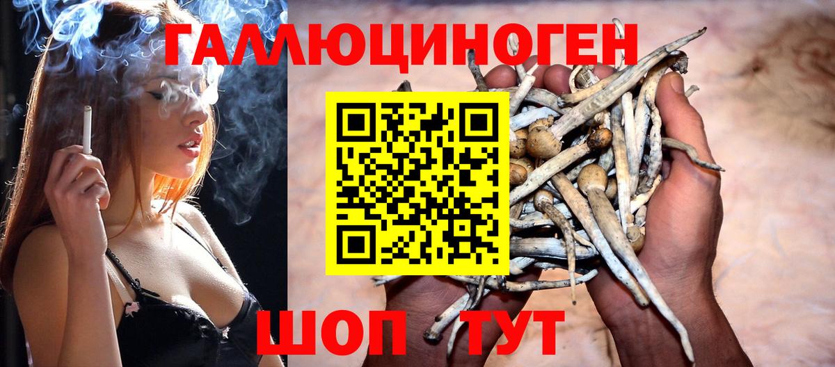 продажа наркотиков  Вход с VPN  Ижевск  Галлюциногенные грибы ЛСД  Галлюциногенные грибы мицелий 